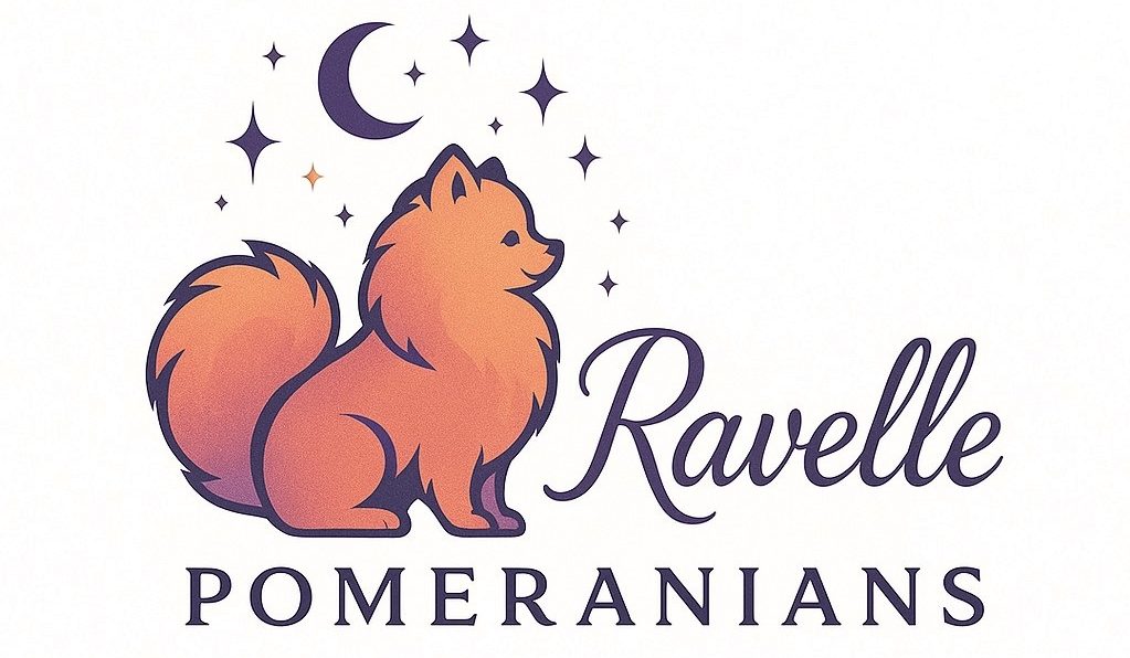 Ravelle Pomeranians
